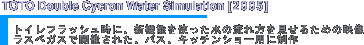 TOTO Double Cycron Water Simulation